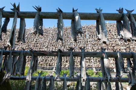 Stockfish
