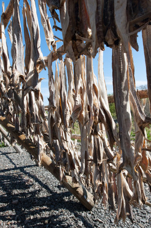 Stockfish