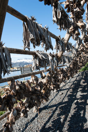 Stockfish
