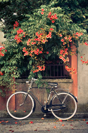 bicycle with flowers in the background. A vintage bike leans against the wallの写真素材