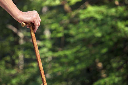 detail of traveler man in the nature, symbol of nature hikeの写真素材