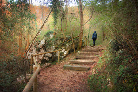 lonely young woman walking in the woods, mysterious and solitary lady in an autumn locationの写真素材
