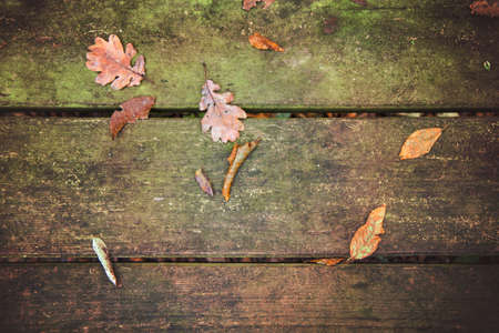 top view of autumn leaves on rustic wood, autumnal background imageの写真素材