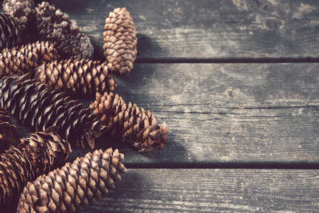 pine cones with copy space, text with be written on wooden backgroundの写真素材