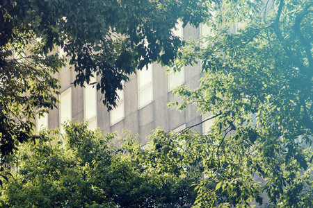block of flats in green areas, the plants filter out CO2 gas and produce oxygen.