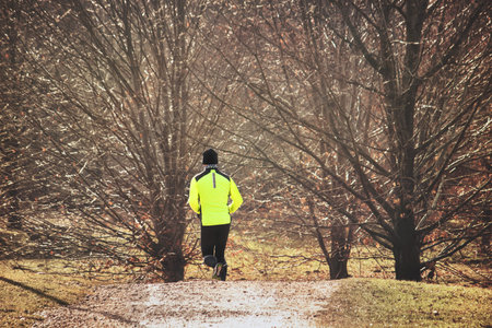 Jogging man exercising through the forest, copy space