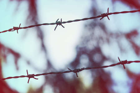 Barbed Wire Vintage Effect. Concept of the refugeesの写真素材