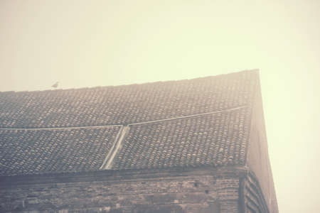 seagull in the fog, mysterious bird on an ancient house roof (warm tone image)の写真素材