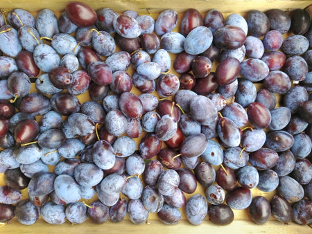 organic plums in a wooden box. Top view of natural and healthy fuits (just pick from the tree)