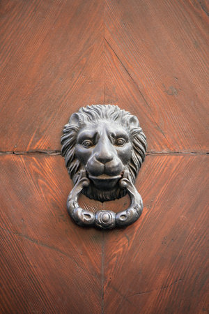lion face at the door, vintage object on wooden door