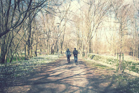 couple walking on path in scenic park, lasting relationship concept in the natureの写真素材