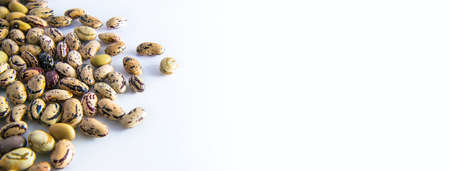 horizzontal picture with beans, the legumes are on white backgroundの写真素材