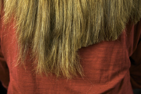 Long hair after some cutting extreme close up