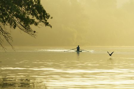 Single crew athlete practices in misty morning sunlight, rowing across lake as bird flies by across the waters of Lake Carnegie, Princeton, New Jersey; side frame of branches of tree; copy space on mist;の写真素材