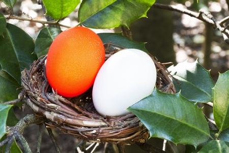 A bright red egg, different and unique, sits next to an ordinary white egg in a twig nestの写真素材