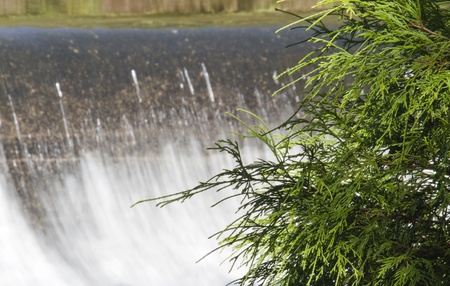 Fresh rain brings swift currents over waterfalll; evergreen in foreground;の写真素材