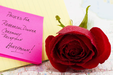 Red rose on map with note about wedding and honeymoon plans