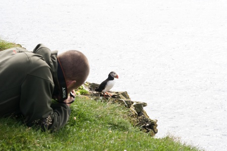 Latrabjarg, Iceland - July 5, 2009: Young man photographs a puffin at Latrabjarg Cliffs in remote western Iceland.  More than half the world's population of Atlantic Puffins breed in Iceland, and Latrabjarg is one of three bird cliff colonies in Iceland. のeditorial素材