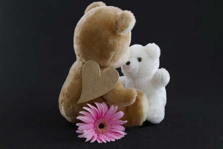 Tan stuffed bear, gold heart on her shoulder and pink flower by her side, kisses smaller stuffed bearの写真素材