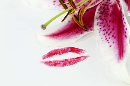 Lipstick mark from woman's lips on white background with lily placed near; copy space.の写真素材