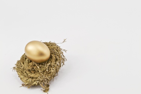 Gold nest made of sturdy but delicate golden straw  holds the successful goal of a profitable financial egg.の写真素材