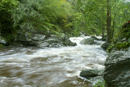 Full, spring flow in stream accented by green leaves and rocks in Great Smoky Mountains National Parkの写真素材
