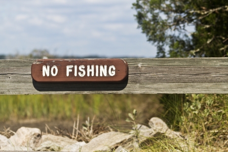 Wooden No Fishing sign with white letters on fence board is worn by time and weather; location is South Carolina, Huntingdon Beach State Park; の写真素材