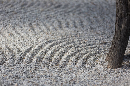 Peaceful Zen garden with raked sand and single tree trunk. Gravelの写真素材