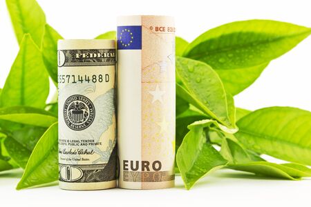 American dollar and European euro currency placed in front of fresh leaves, damp with dew, in horizontal image.の写真素材