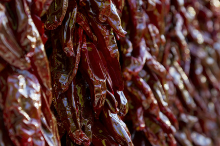 Dark red chili peppers on dried strings in Santa Fe, New Mexico. Close up and selective focus in horizontal image.の写真素材