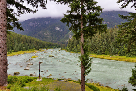 Winding Chilkoot River near Haines in Alaska is a popular fishing location and wildlife viewing attraction. Misty mountains in background.の写真素材