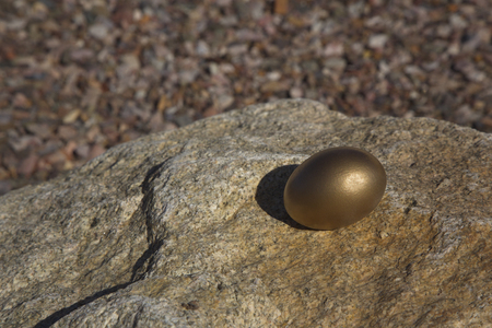 Single gold nest egg placed on hard rock is conceptual image of  investments endangered in a challenging economic environment.  Risk reflects need to maximize strategic financial planning.の写真素材