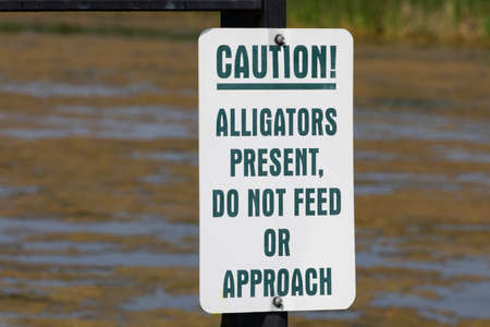 Caution Alligators Present, Do Not Feed or Approach Warning Sign at Big Slough Recreation Area in Texas, United Statesの写真素材