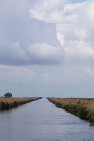 Canal waterway at Sabine National Wildlife Refuge, large coastal marsh refuge, in Cameron Parish, Hackberry, Louisiana, United Statesの写真素材