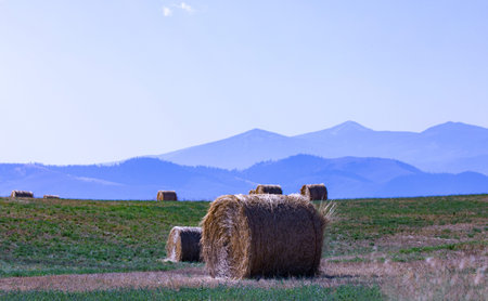 Farm fields with hay bales in foreground and Mission Mountain Range visible in distance