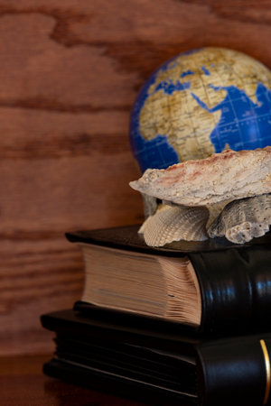 Memorabilia and photo albums of global ocean and beach memories recall maritime adventures and vacationsの写真素材
