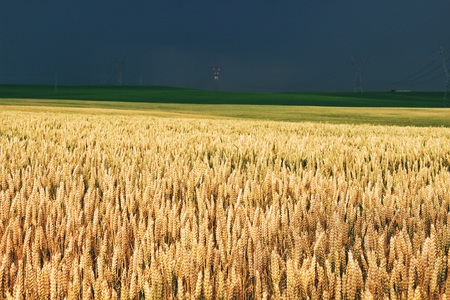 Spring field during stormの写真素材