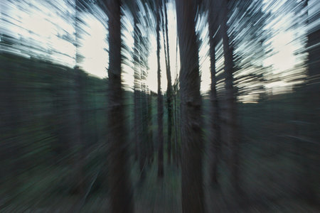 Flying at the speed of sound