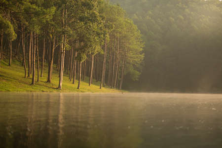 in the morningの写真素材