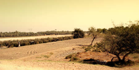 Rural landscape, Pakistanの写真素材