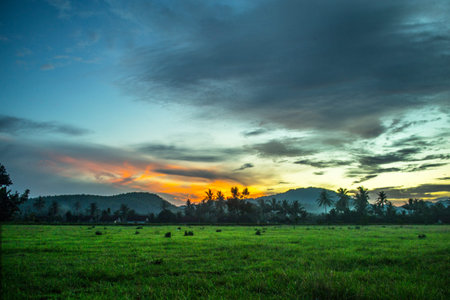 landscape sunset
