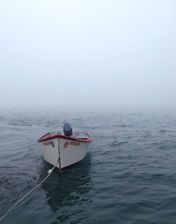 Fishing boat in the sea in a foggy day in the summer