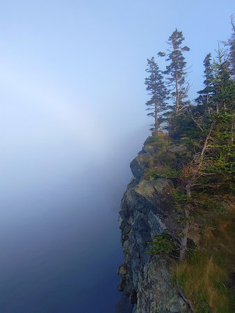 Foggy morning on the coast of the lake in the mountains