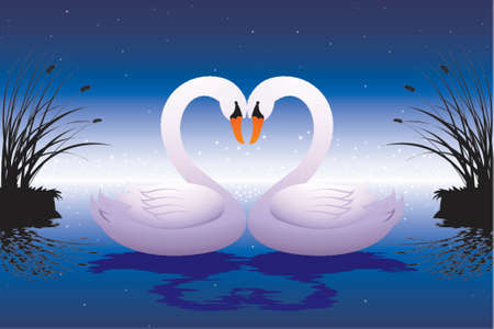 loving swansのイラスト素材