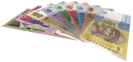 ukrainian money (hryvnas) isolated on white background, income details