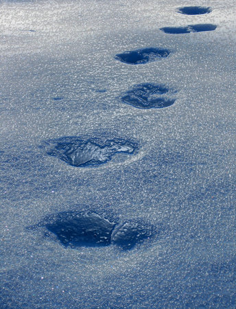 many footprints (footstep) on blue snow ice, seasonal winter details
