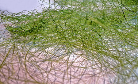abstract green grass heap, herbal details