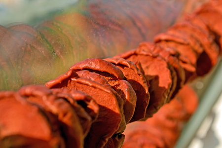 focus on center. abstract dried brown apple pieces heap under sunny rays reflected in glass window, food detailsの写真素材