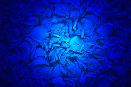 magic blue light over abstract apple pieces heap, unknown science detailsの写真素材