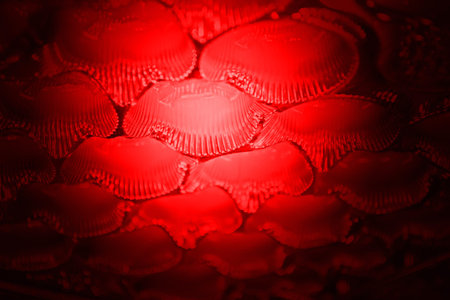 magic red light over cell surface, unknown science details